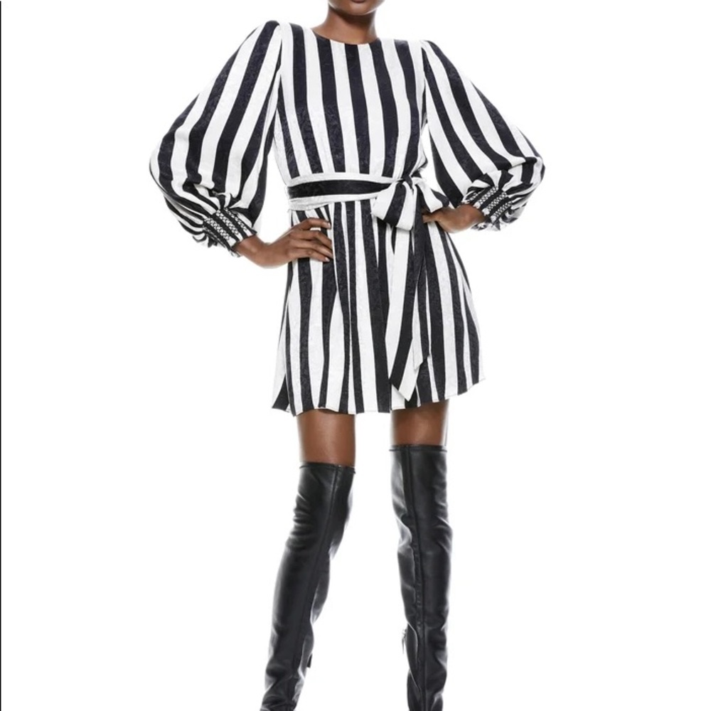 Alice + Olivia Estefana Striped Dress NWT